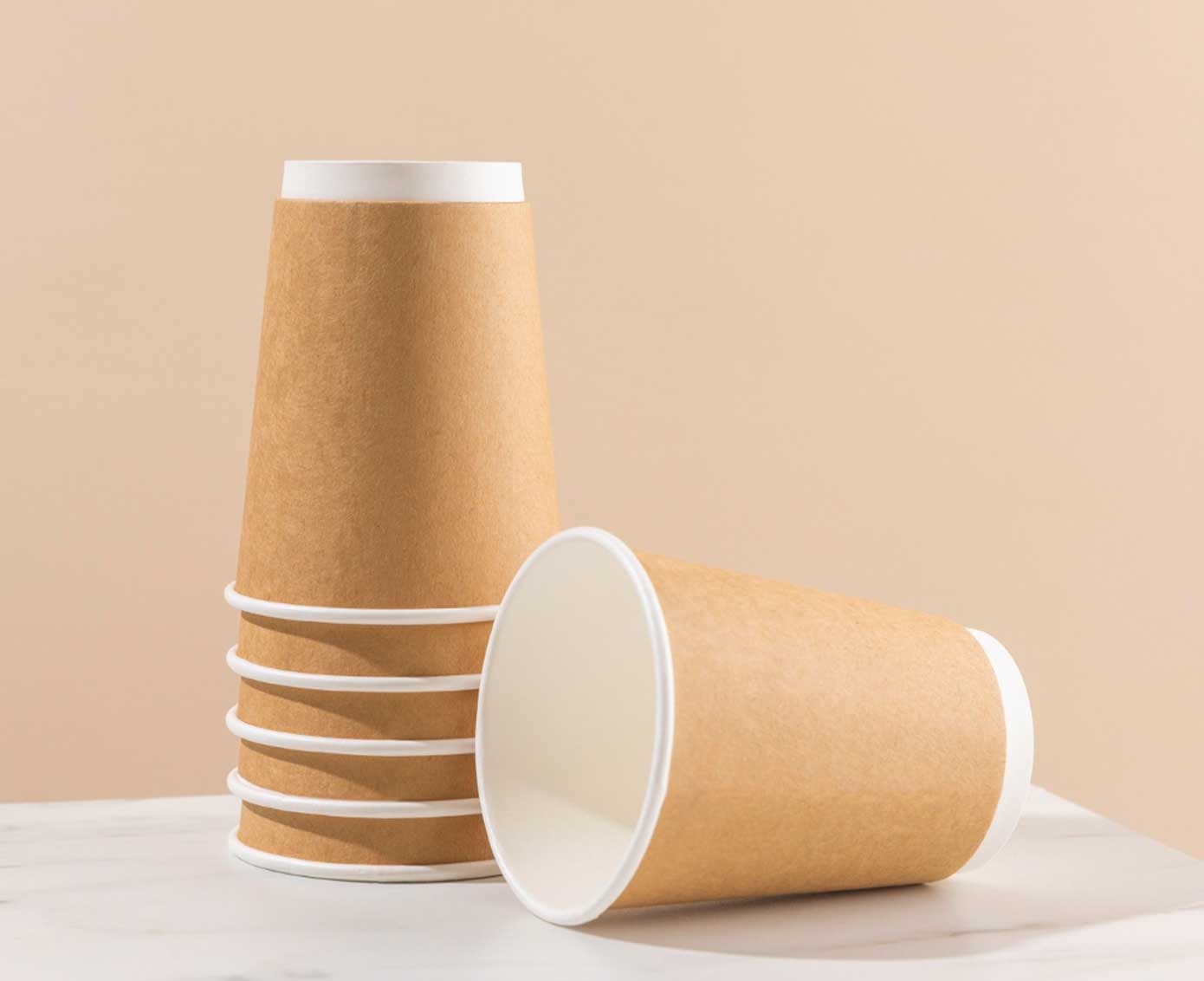 Karton Bardak Double Wall Baskısız
